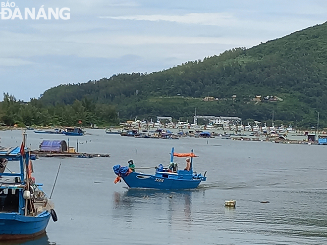 Đà Nẵng xác định có 190 tàu cá hết hạn giấy phép khai thác thủy sản