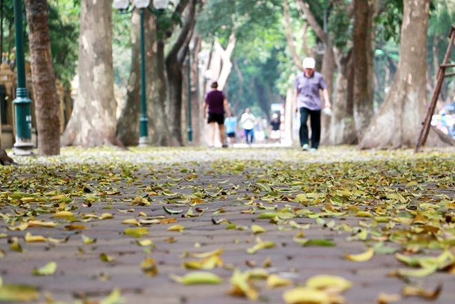 Thời tiết ngày 24-10: Bắc Bộ sáng sớm sương mù, ngày nắng