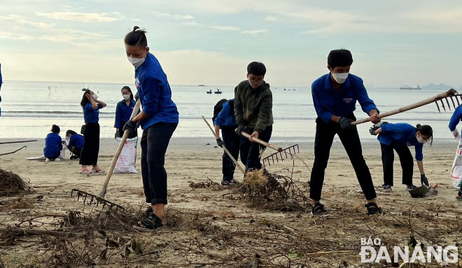 Các đoàn viên thanh niên đã được Chi cục Bảo vệ môi trường, Sở Tài nguyên và Môi trường trang bị các dụng cụ phục vụ thu gom rác, bèo trên bãi biển.