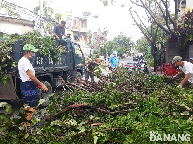 Người dân cùng với bộ đội mang cành, lá cây lên xe bên để vận chuyển lên bãi rác Khánh Sơn.