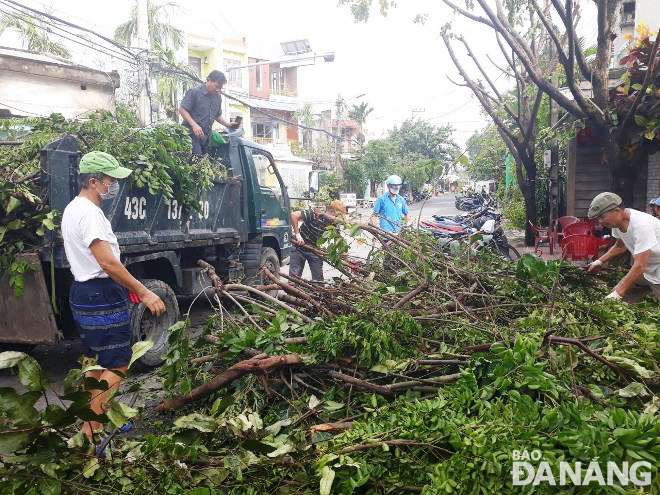 Residents are seen to load collected branches and leaves at gathering points onto dump trucks to transport them to the Khanh Son Landfill.