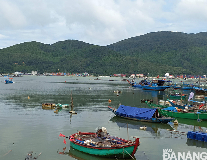 Khu vực neo đậu tàu thuyền tại Âu thuyền Thọ Quang, quận Sơn Trà. Ảnh; TRIỆU TÙNG