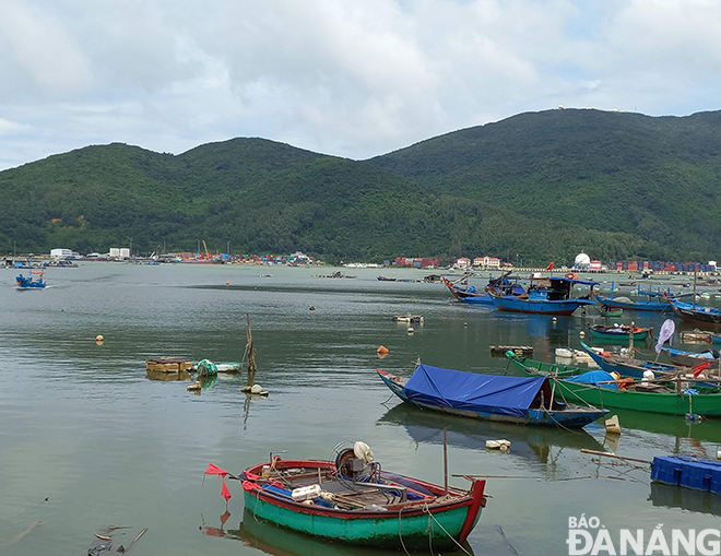 The boat anchorage at the Tho Quang Fishing Wharf in Son Tra District. Photo: TRIEU TUNG