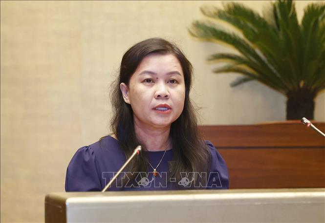 Phó Chủ nhiệm Uỷ ban Pháp luật của Quốc hội Nguyễn Phương Thuỷ. Ảnh tư liệu: Doãn Tấn/TTXVN