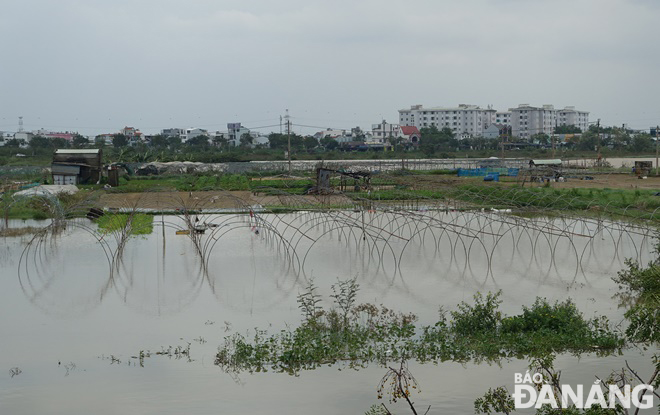 Floodwaters have yet to recede in much of the La Huong vegetable growing area but some parts will face high risk of re-flooding in the coming days.