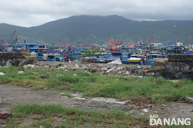  Some retaining walls in Tho Quang fishing wharf have been eroded due to high water.