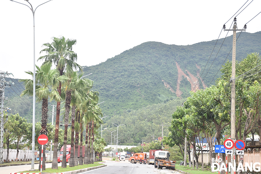 Một góc núi trên bán đảo Sơn Trà bị sạt lở mạnh, lộ ra các vệt đất. Ảnh THU HÀ