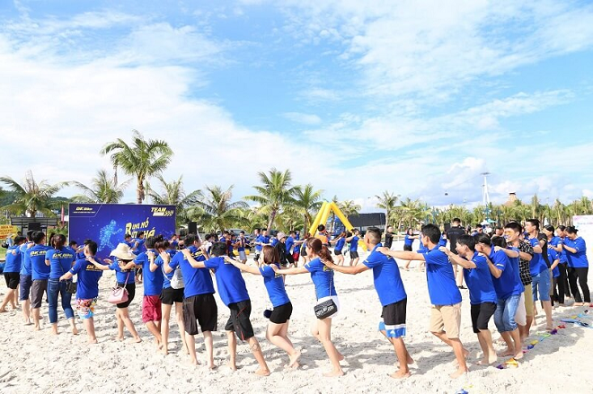 Lên kịch bản cho hoạt động team building và gala dinner.