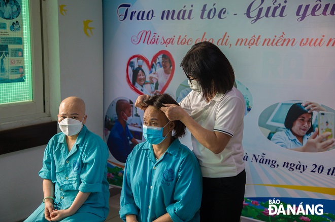 Sets of donated hairs are donated to cancer patients.