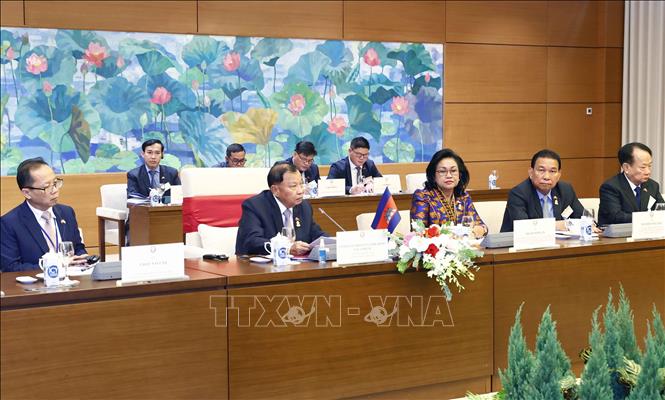 Chủ tịch Thượng viện Vương quốc Campuchia Samdech Say Chhum phát biểu. Ảnh: Doãn Tấn/TTXVN