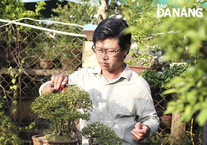 Not only passion, the hobby of creating bonsai trees is also the pride of Mr. Nguyen Van Chanh