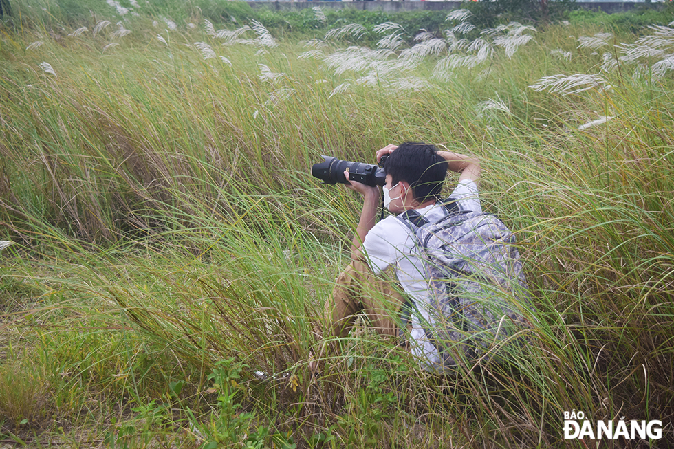Some people bring professional photography equipment to save beautiful moments with white reeds.
