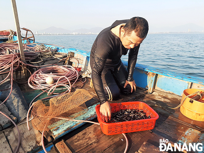 Each diving trip brings fishermen income up tp more than one million VND. A local man is seen with ‘chip chip’ just caught during 15 minutes of diving in the waters near the foot of Phu Loc Bridge in Da Nang. Photo: KHANH HOA