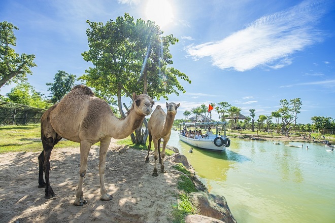 Vườn thú du khảo trên sông đầu tiên và duy nhất tại Việt Nam là trải nghiệm hấp dẫn du khách của VinWonders Nam Hội An.