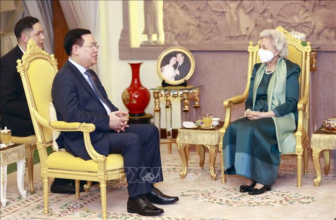 Chủ tịch Quốc hội Vương Đình Huệ yết kiến Hoàng Thái hậu Campuchia Norodom Monineath Sihanouk. Ảnh: Doãn Tấn/TTXVN