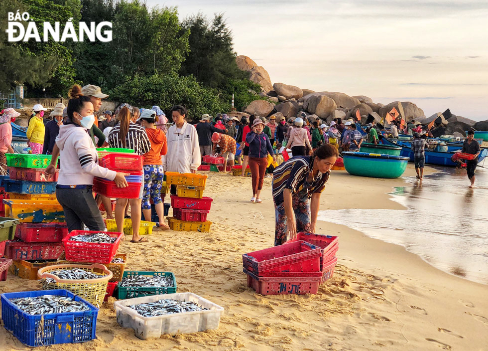 The fishing wharf of the An Hai fishing village is famous for fresh fish, shrimp, squid and other seafood that have just been caught at night.