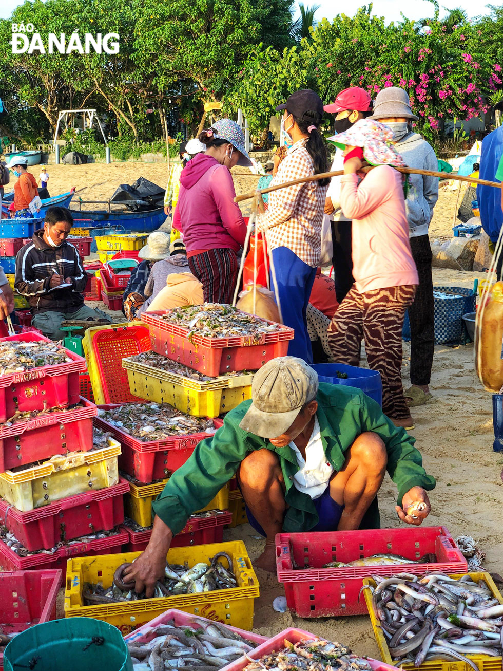 Trading activities here are only conducted by local villagers or traders to buy and distribute to seafood restaurants, so the scale is not large.