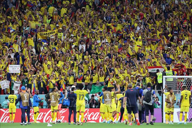 Các cổ động viên Ecuador mừng chiến thắng sau trận gặp Qatar tại bảng A World Cup 2022 trên Sân vận động Al-Bayt ở Al Khor, Qatar, ngày 20/11/2022. Ảnh: AFP/TTXVN