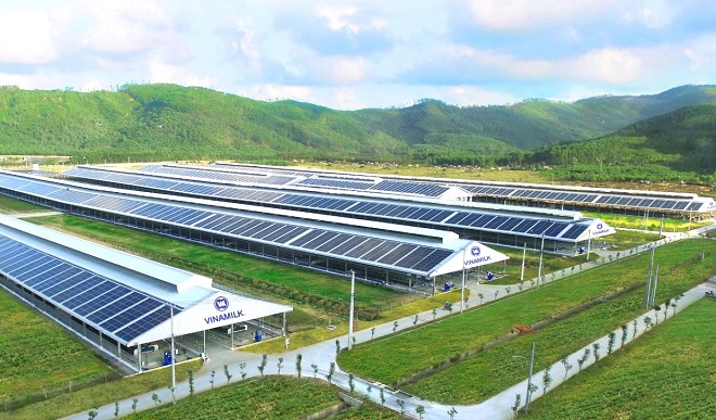 Hệ thống năng lượng mặt trời được lắp đặt tại các trang trại và nhà máy của Vinamilk. Ảnh: PV