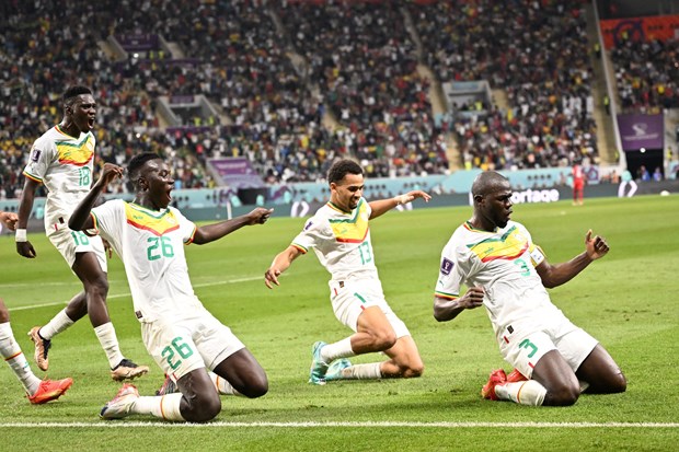 Senegal giành quyền vào vòng 1/8 sau trận thắng kịch tính trước Ecuador. (Nguồn: AFP/Getty Images)