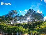 Những mảng xanh trên cao nguyên Lang Biang