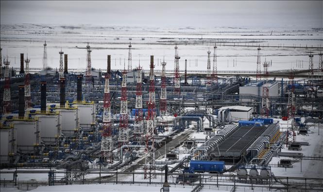 Nga cấm xuất khẩu dầu cho các nước áp mức giá trần