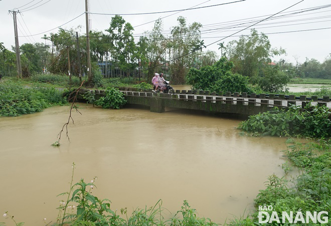 Flooding nearly overflows the Ben Giang Bridge in Hoa Tien Ward, Hoa Vang District