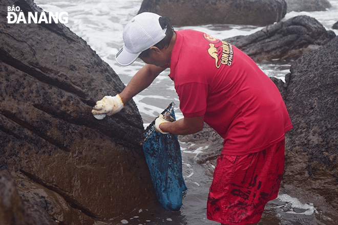 A tin scraper – a quite simple but effective tool - is used to pick up seaweed.