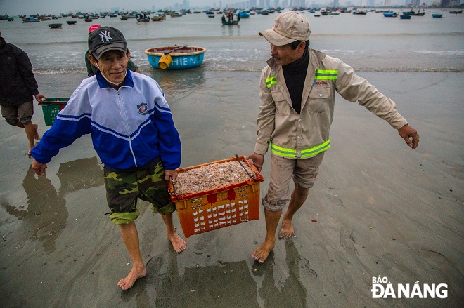 Ngư dân tin tưởng vào một mùa ruốc biển bội thu.