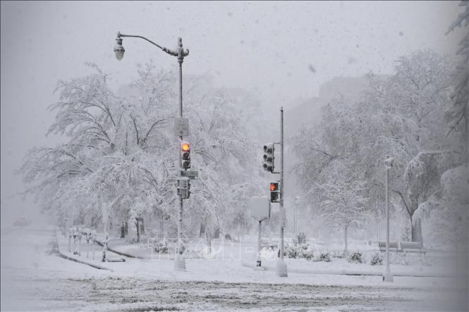 Tuyết rơi dày đặc tại Washington, DC, Mỹ. Ảnh tư liệu: AFP/TTXVN