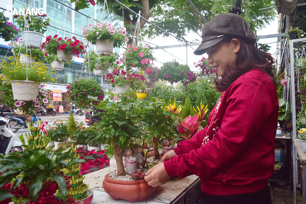 Bên cạnh hoa, theo chị Nguyễn Thị Thùy Vân (SN 1984), chủ vườn cây cảnh trên đường Lê Thanh Nghị (quận Hải Châu), chậu tiểu cảnh cũng được rất nhiều khách hàng ưa chuộng trong dịp Tết.  