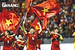 Sức bật mới cho thể thao Việt Nam