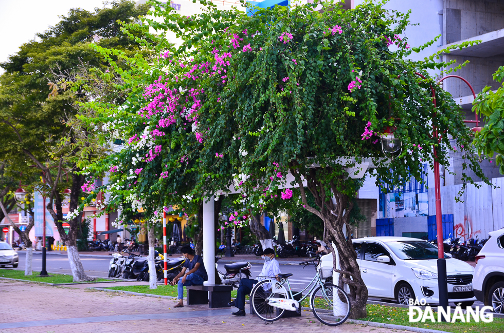 Thời tiết ngày 26-1: Không khí lạnh tăng cường, Bắc Bộ và khu vực từ Thanh Hóa đến Thừa Thiên Huế trời rét