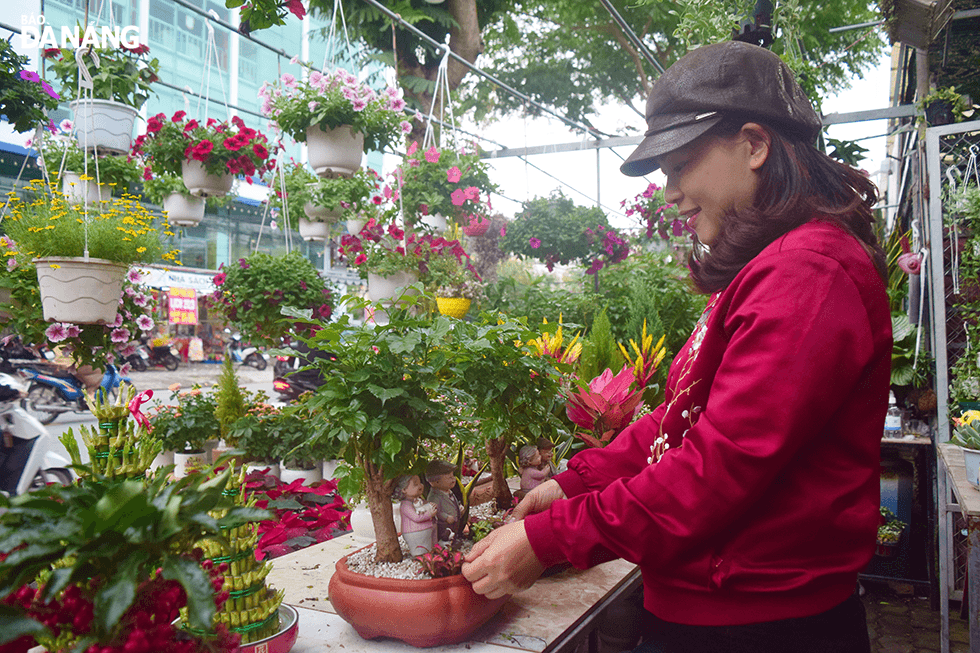 According to Mrs. Nguyen Thi Thuy Van, the owners of a bonsai garden on Le Thanh Nghi Street, Hai Chau District, miniature pots are also popular with many customers during Tet in addition to flowers.