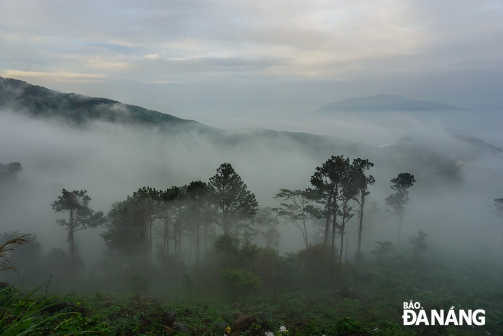 Visitors to the Hai Van Pass will feel the obvious coldness and the mist covered from the foot to the top of the pass.