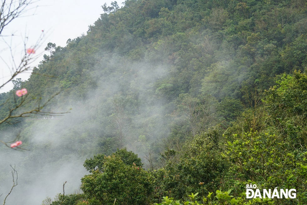 Mountains and forests are woven into the clouds