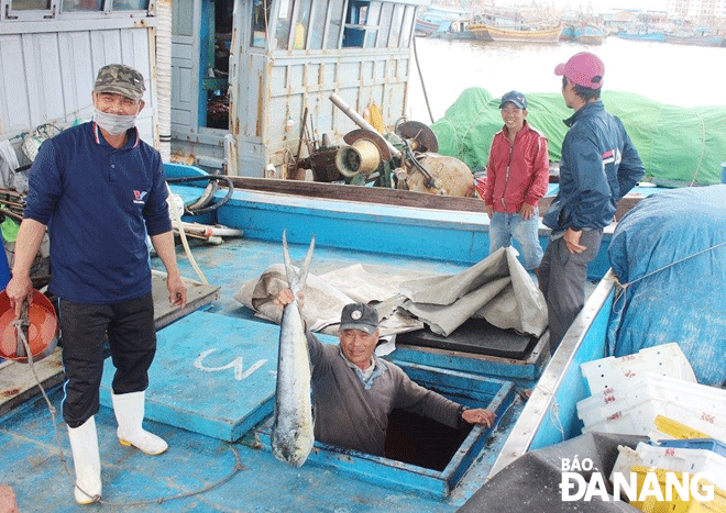 Ngư dân đang vận chuyển cá lên chợ đầu mối thủy sản Thọ Quang. Ảnh: VĂN HOÀNG