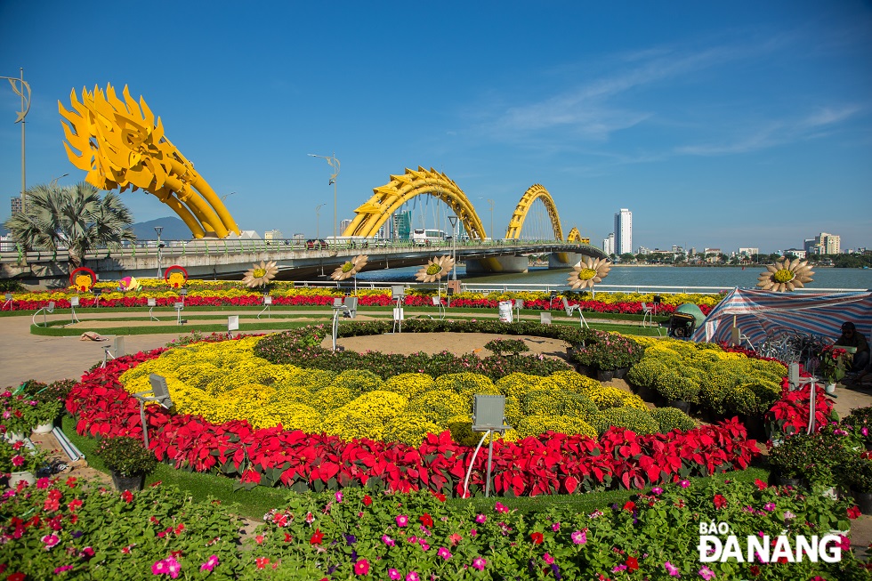 The decoration of flower streets along Bach Dang Street and both banks of the Han River, or in the area of the ​​Dragon and Han River bridges, is gradually being completed to welcome visitors.