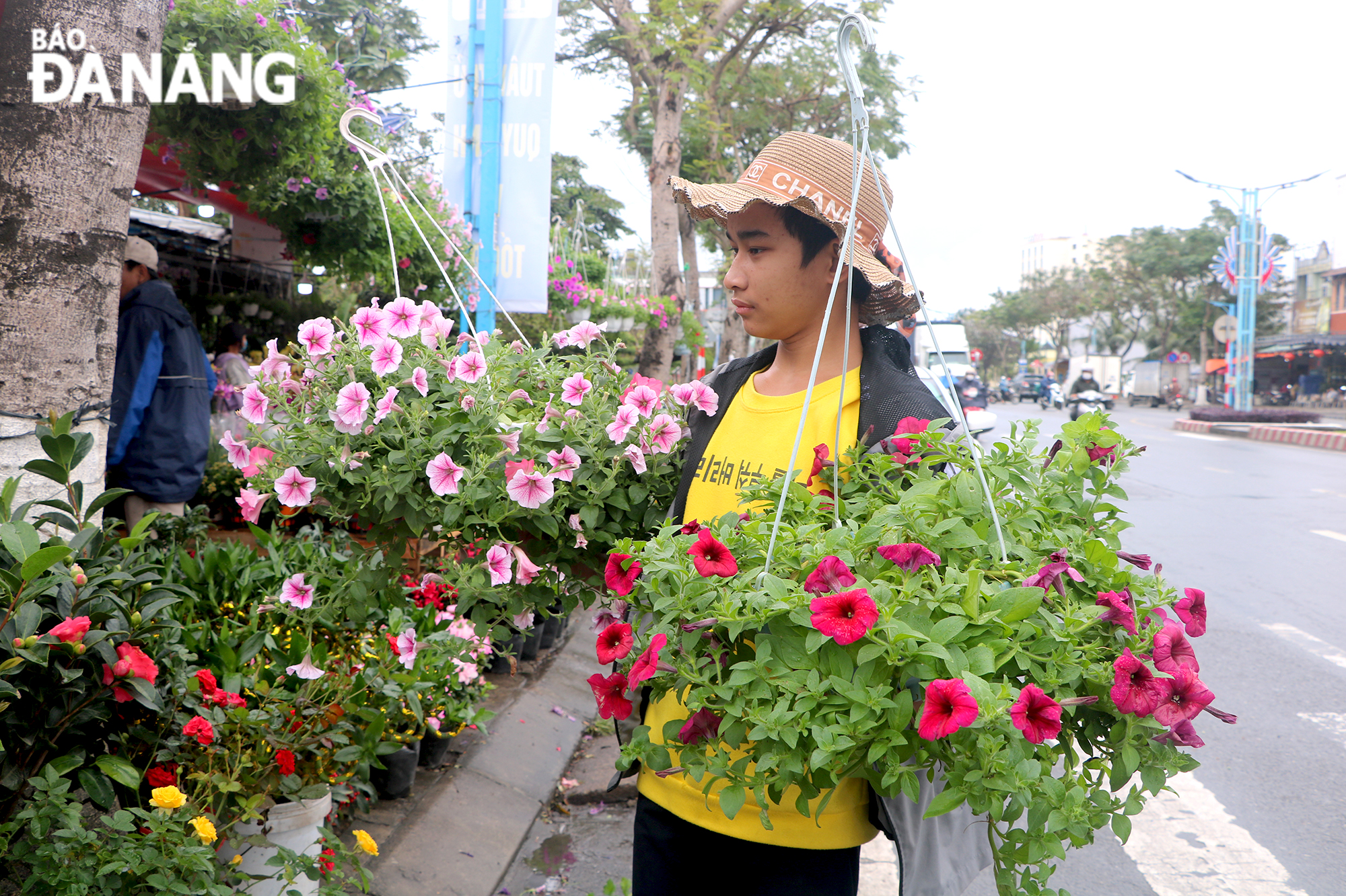 Many kinds of flowers are added by shops to meet people's needs during Tet.