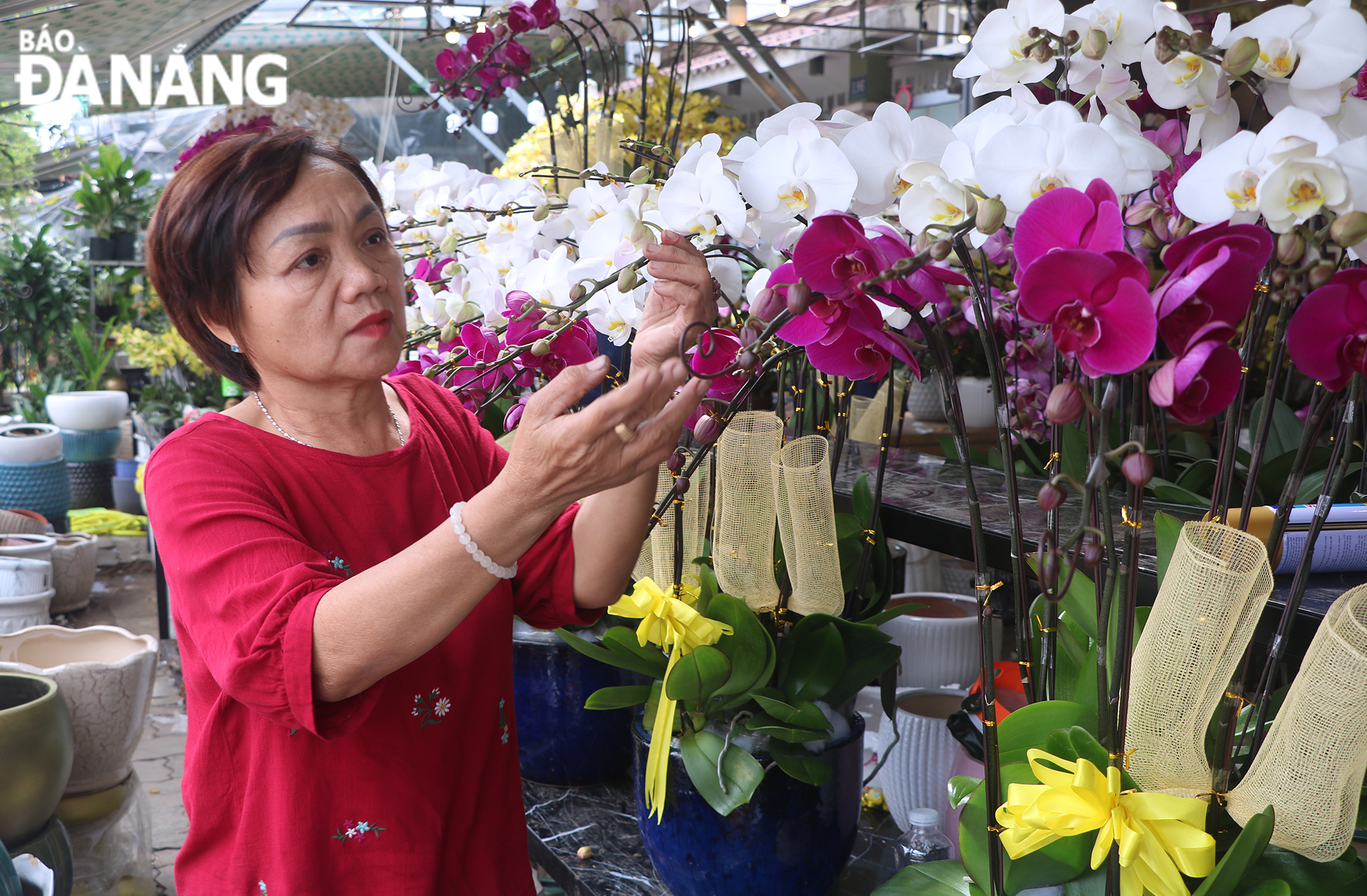 Mrs. Le Thi Luu, the owner of orchid shop Phong Luu on Nguyen Dinh Tuu Street is adjusting orchid branches to deliver to customers.