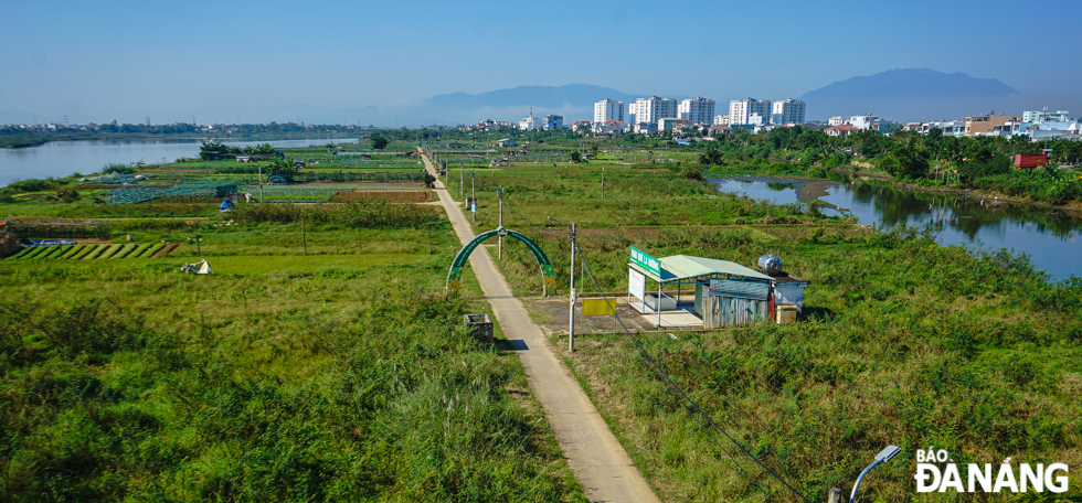 The La Huong vegetable growing area near Tet viewed from the Cam Le Bridge.