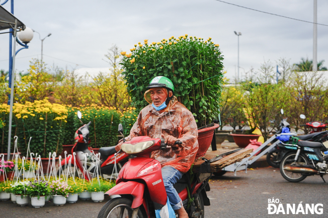 Hối hả đưa Tết về nhà.