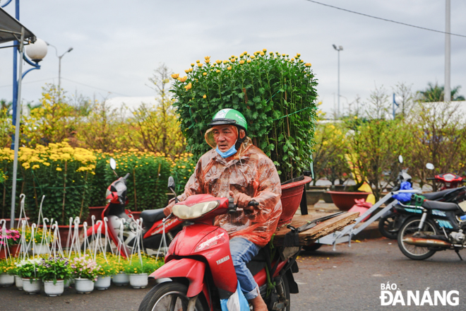 A man rushing to bring Tet flowers home.