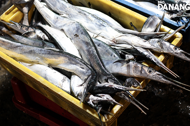 Sản lượng cá bán ra tăng hơn so với ngày thường nhưng giảm khoảng 20% so với mọi năm. Ảnh: QC