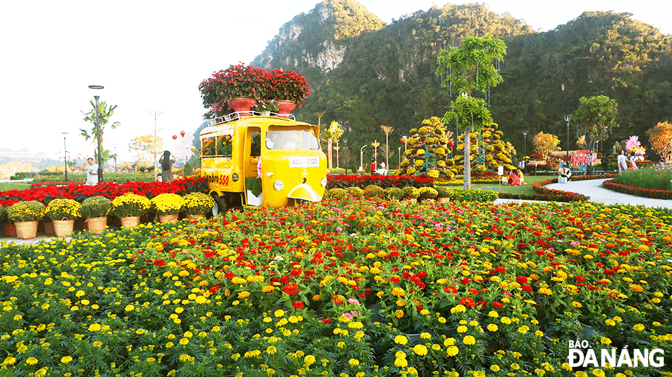  The Thuy Son Mount. (the largest, highest and most beautiful mountain in the Marble Mountains Tourist Area) and the brilliant colours of flowers have created a charming landscape for the spring flower garden. Photo: THU DUYEN