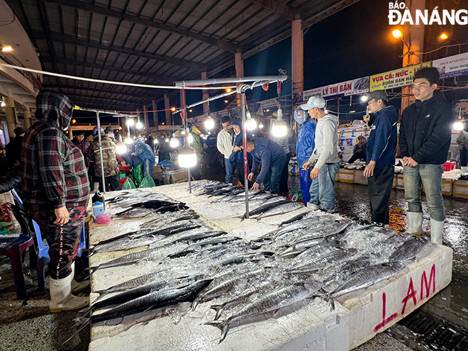 Many kinds of seafood are being sold at the fishing port such as tuna, mackerel, pompano, halibut, shrimp, squid... Photo: VH