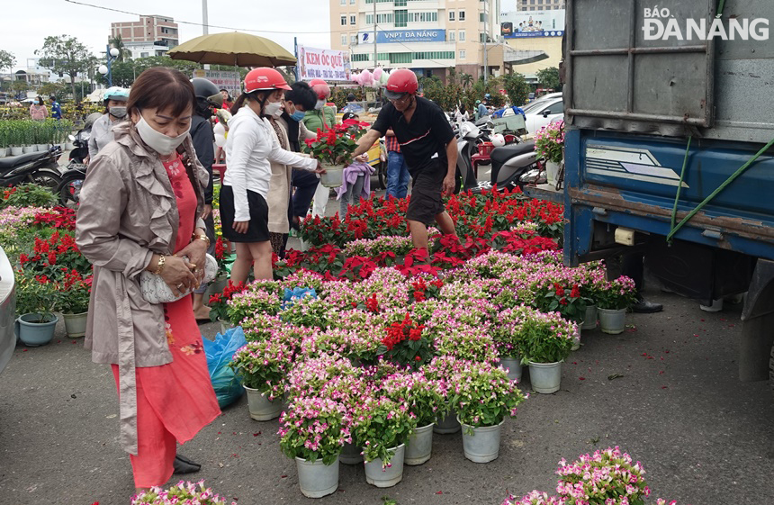 Tuy vậy, vẫn còn một số chủ vườn tiếp tục chở hoa đến đường 2 Tháng 9 để bán cho khách mua về trưng Tết.