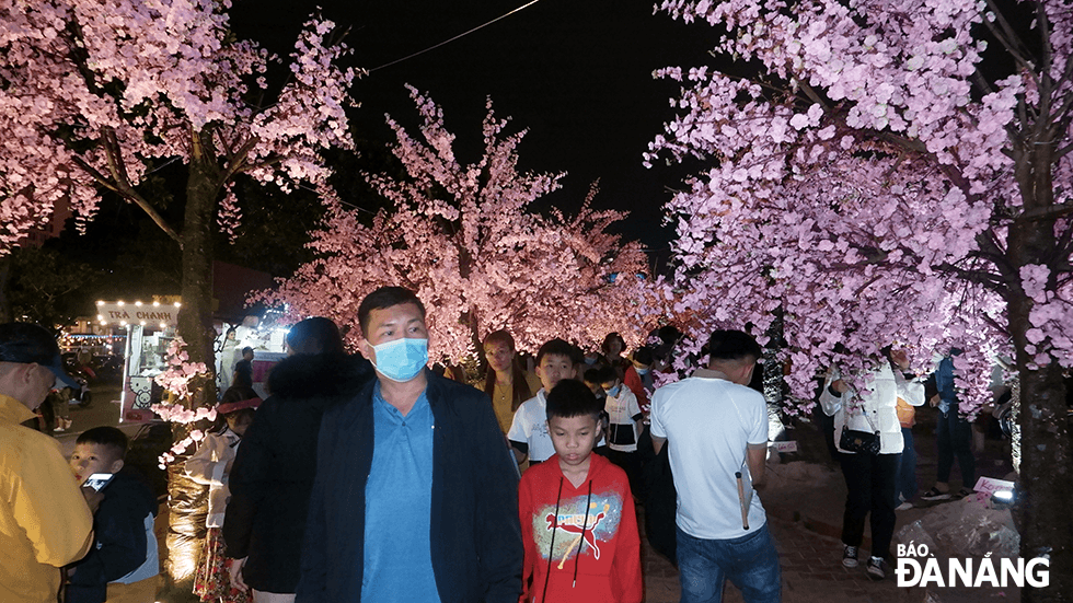 A large number of visitors were observed at the spring flower street along the west bank of the Han River. Photo: THU DUYEN