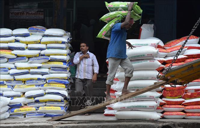  Công nhân vận chuyển gạo tại nhà kho ở Bangalore, Ấn Độ. Ảnh: Báo Tin tức