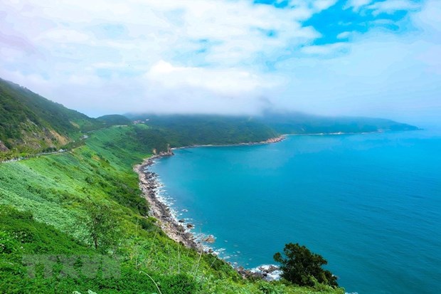 Part of Son Tra Peninsula in Da Nang (Photo: VNA)